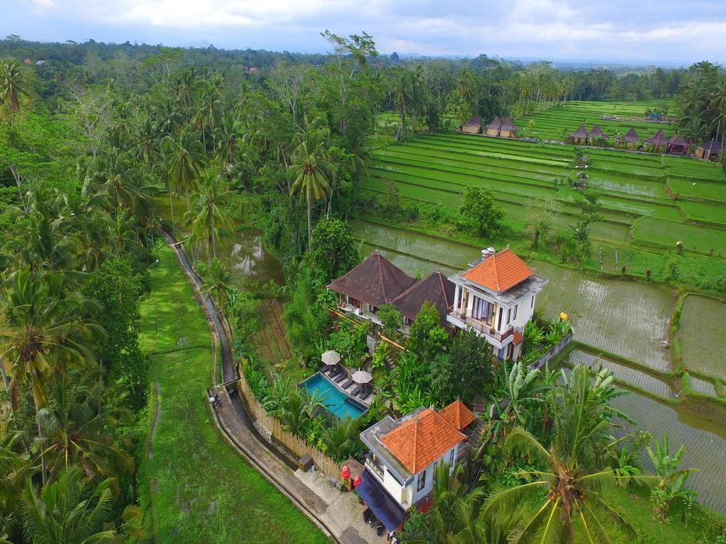 Tini Villa Ubud  Bagian luar foto